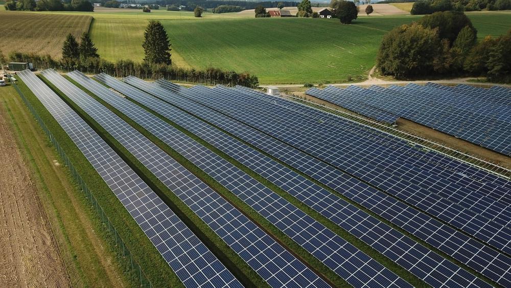 Solar farm screening