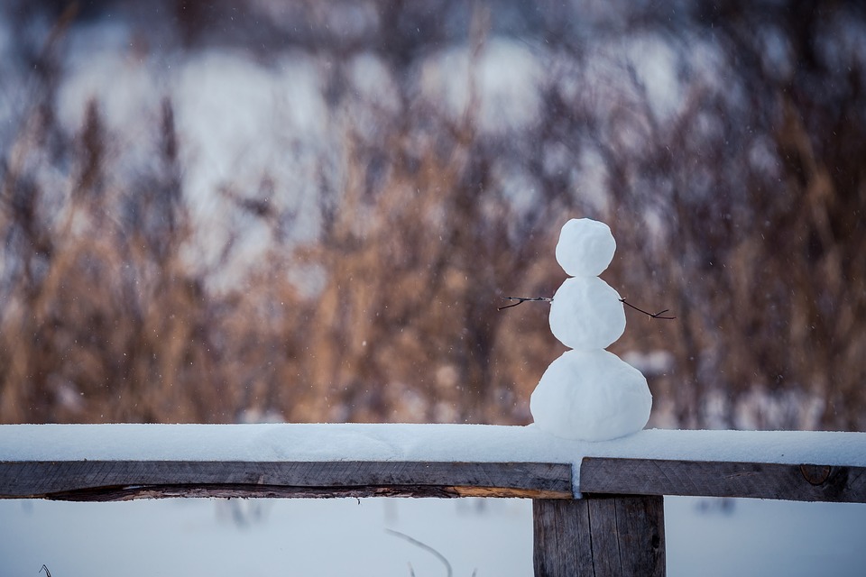 Snowman in winter