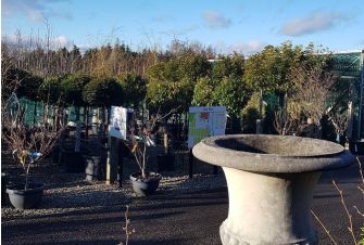 A very HAPPY NEW YEAR to customers and garden-lovers everywhere!