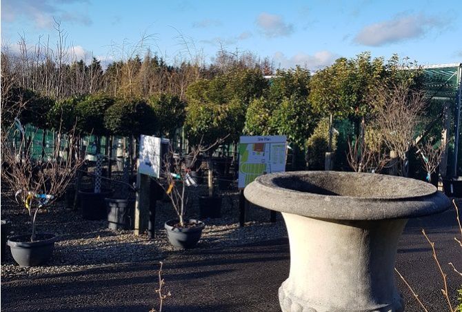 A very HAPPY NEW YEAR to customers and garden-lovers everywhere!