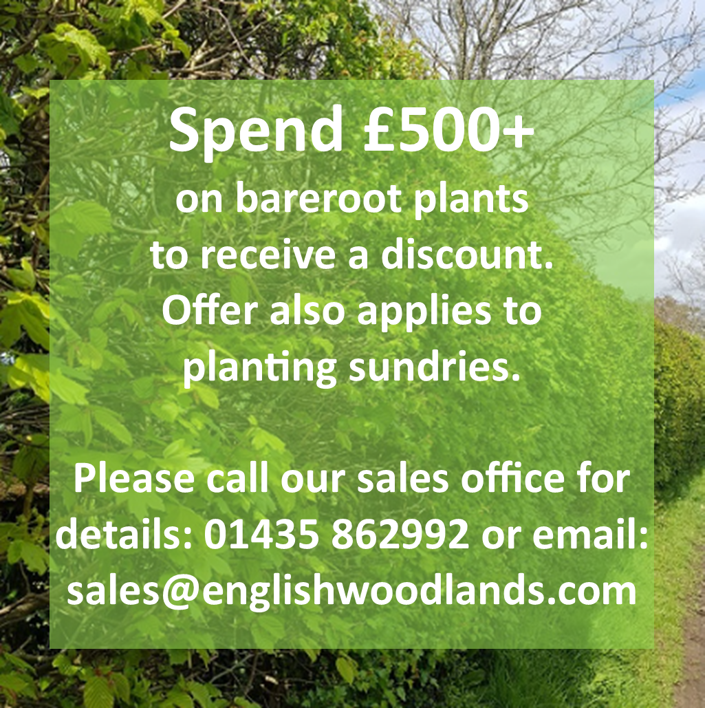 Bareroot Hedging & Trees Bareroot Hedging & Trees