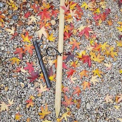 Single Stake package includes tie and guard