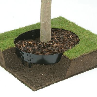 Borderline Steel Tree Ring-680mm diameter